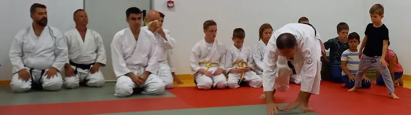 albertirsa aikido edzés kép