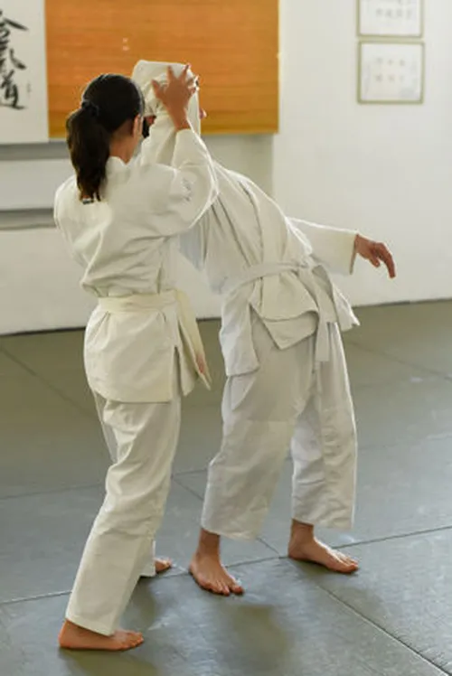 seiza kép