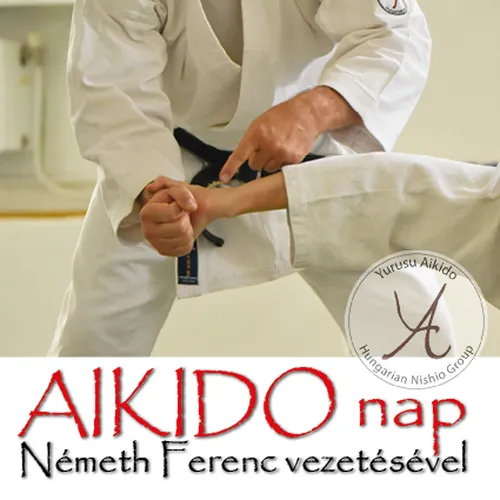 Aikido and Qigong training by Németh Ferenc - 2022. szeptember 24.