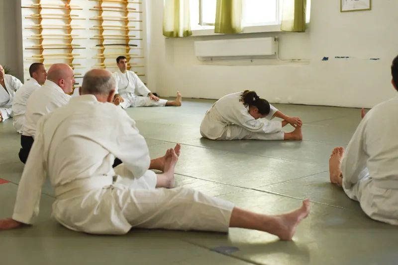 aikido gyakorlás kép