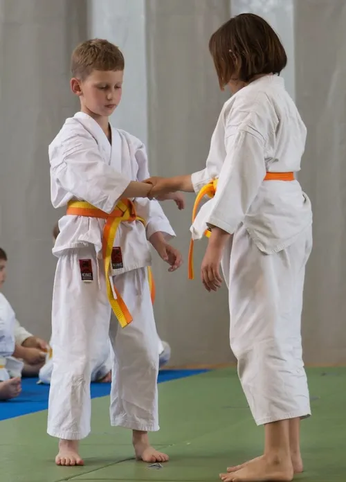 Childrean aikido classes